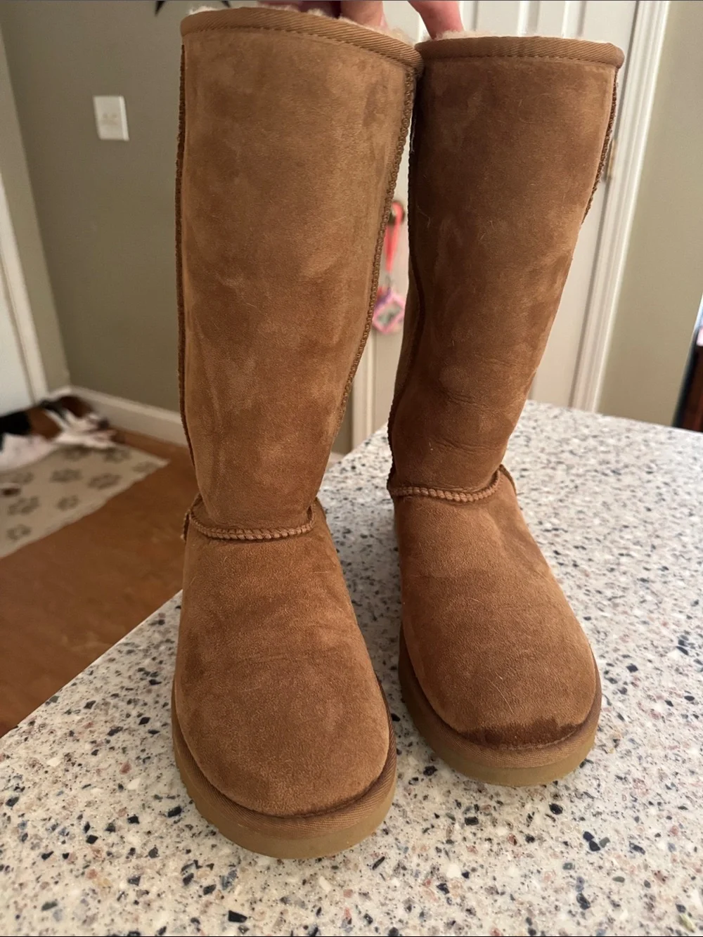UGG Tall Suede Winter Boots in Chestnut Brown